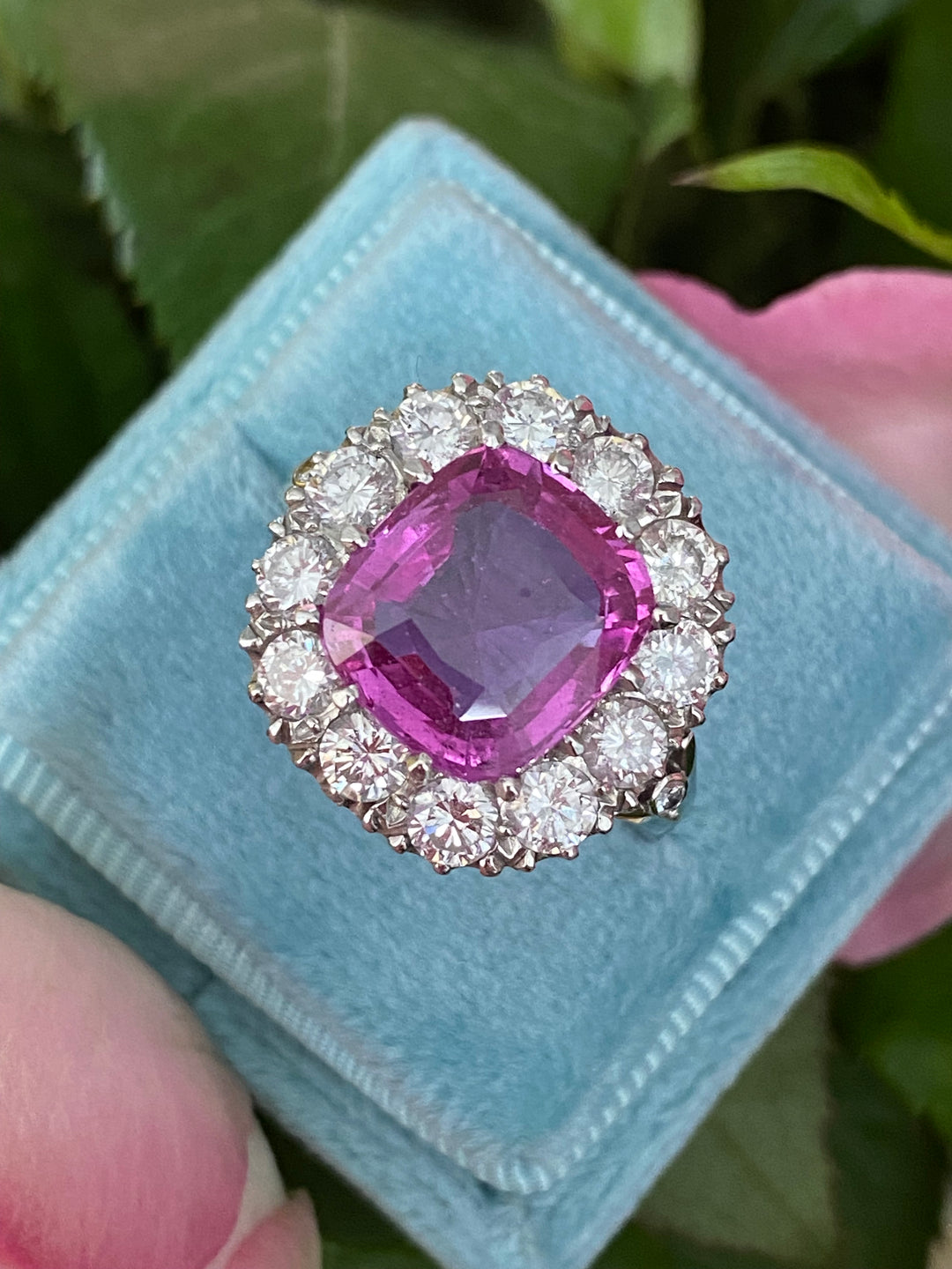 5.51 Carat Cushion Cut Pink Sapphire and 2.10ctw Diamond Halo Ring in Platinum
