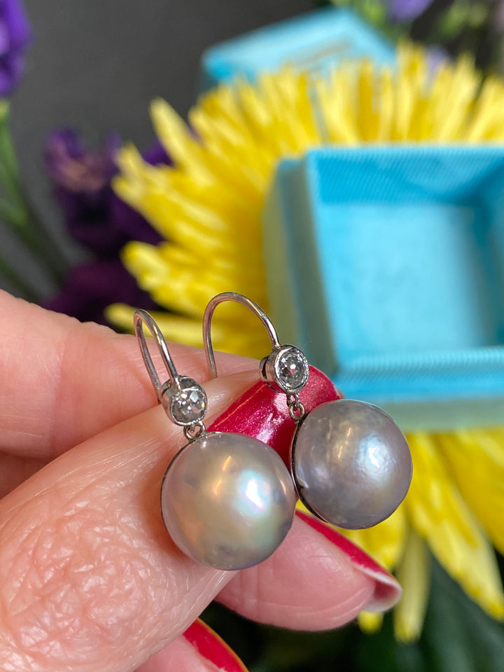 Old cut Diamond and pearl drop earrings in White gold 