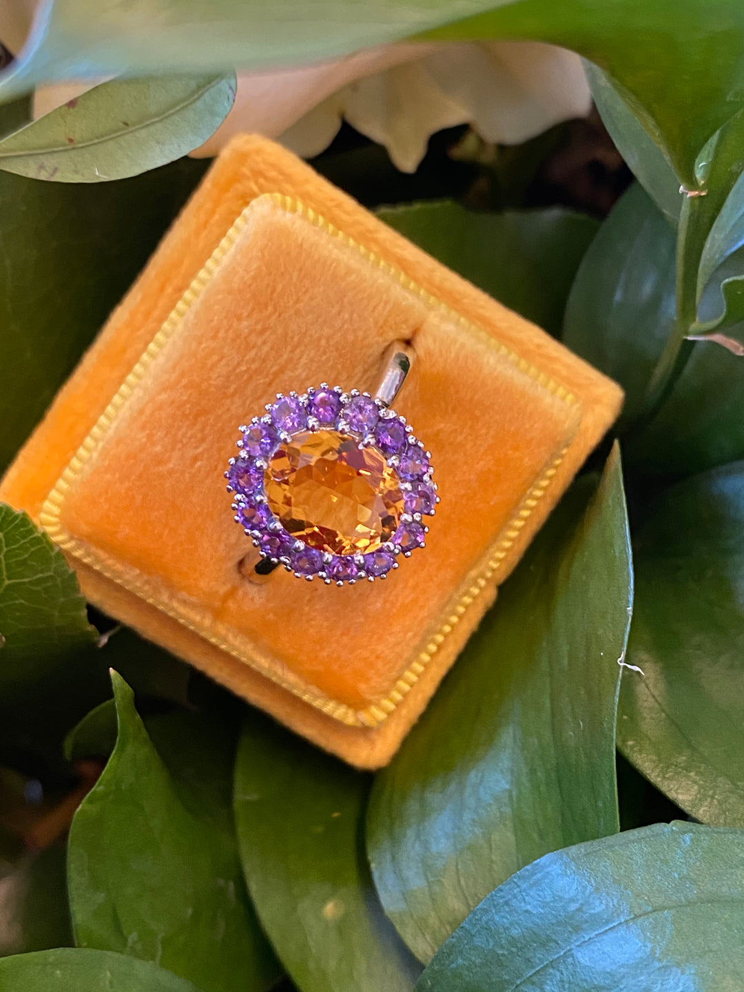 Oval Cut Citrine and Amethyst Halo Cocktail Ring in Sterling Silver 